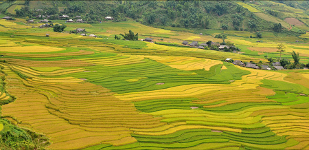 Thung lũng Lìm Mông, Mù Cang Chải, tỉnh Yên Bái