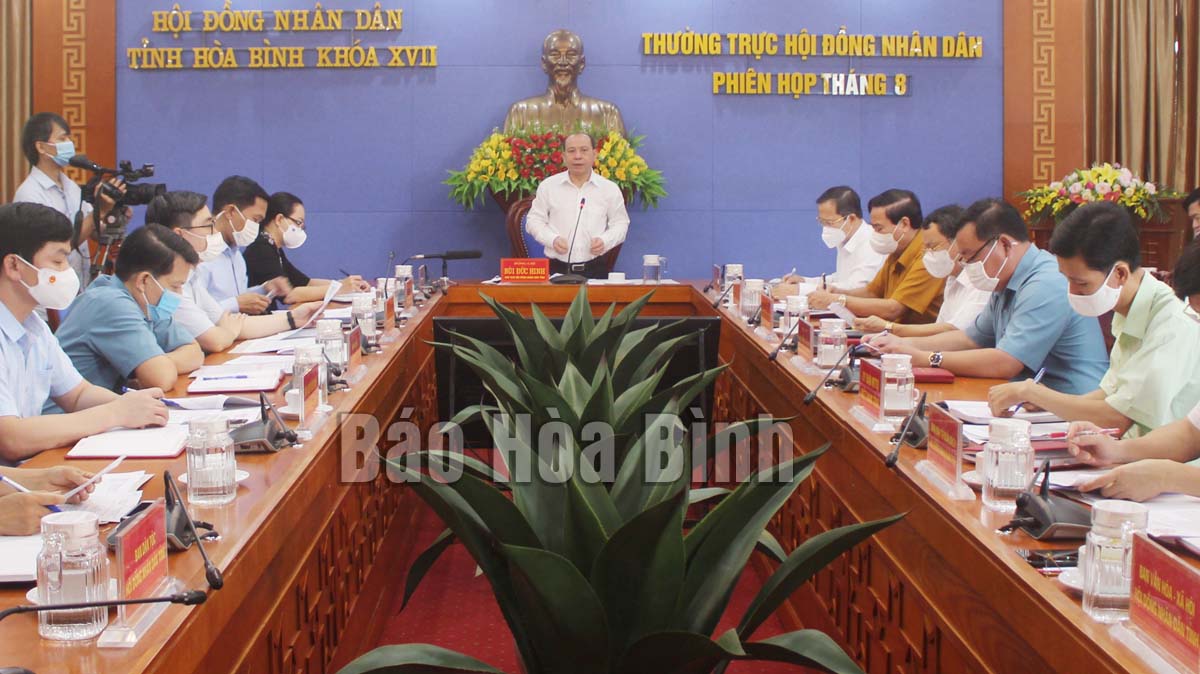 Đồng chí Bùi Đức Hinh, Phó Bí thư Thường trực Tỉnh ủy, Chủ tịch HĐND tỉnh Hòa Bình phát biểu tại phiên họp Thường trực HĐND tỉnh tháng 8/2021 (ảnh nguồn baohoabinh.com.vn)