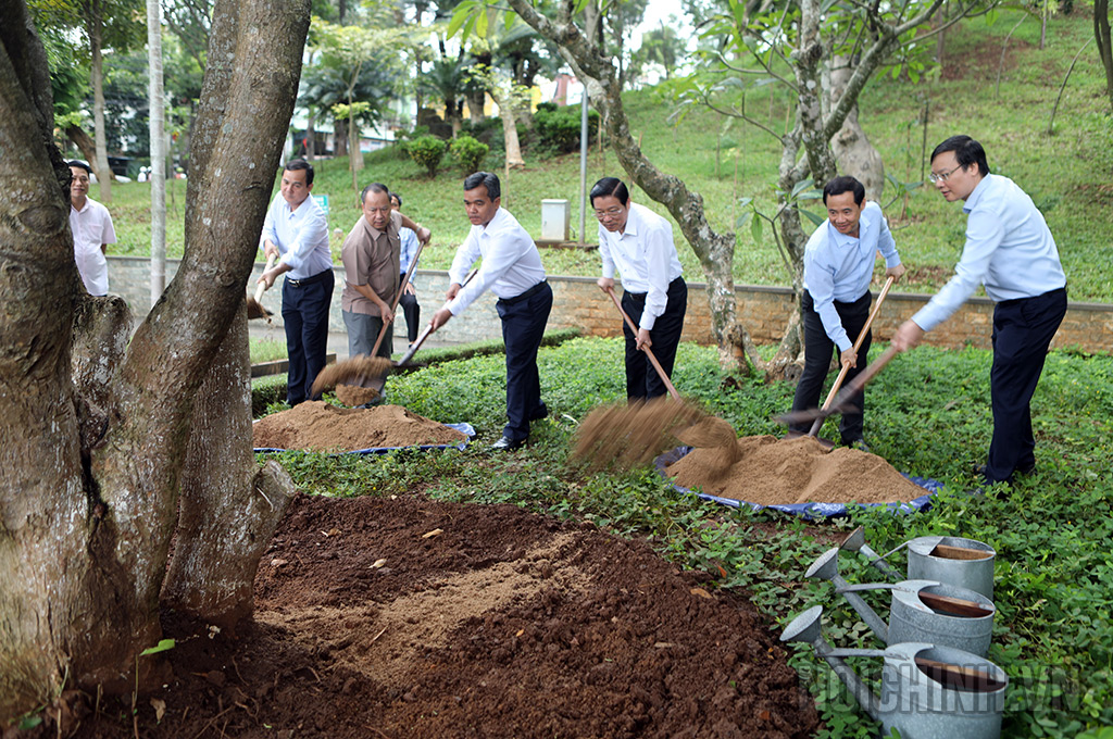 Đồng chí Phan Đình Trạc, Ủy viên Bộ Chính trị, Bí thư Trung ương Đảng, Trưởng Ban Nội chính Trung ương và các đại biểu trồng cây lưu niệm tại Quảng trường Đại đoàn kết