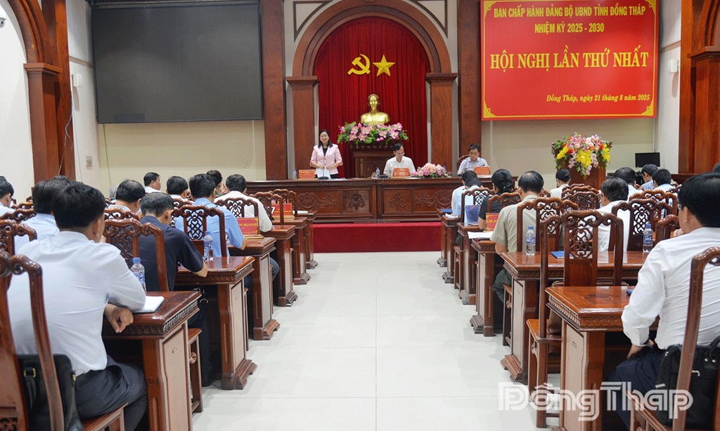 Một Hội nghị của Ủy ban nhân dân tỉnh Đồng Tháp